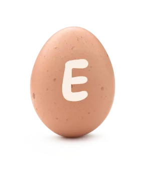 1592