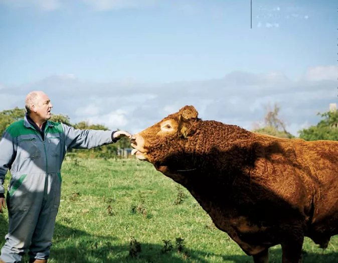 Bretagne Viande Bio