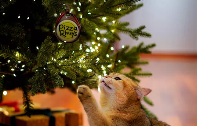 Joyeux Noël avec Pizza Rhuys ! 🎄🍕