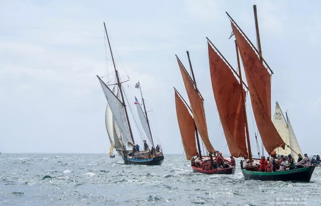 Que faire cette semaine dans le Golfe ?