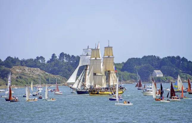 ⚓ La Semaine du Golfe revient… et on est prêts à embarquer avec vous !